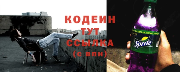 сатива Вязьма