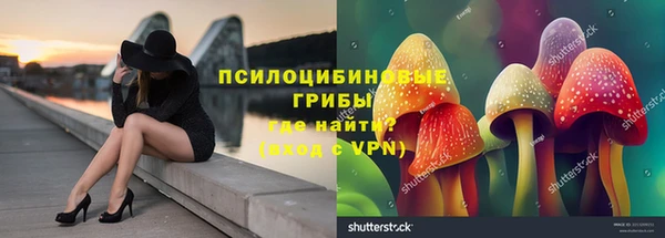 каннабис Вяземский