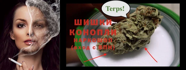 сатива Вязьма
