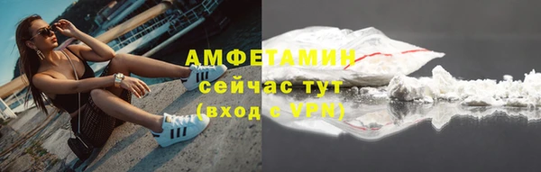 гашик Гусь-Хрустальный