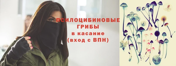 сатива Вязьма