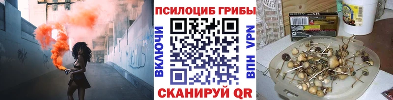 Псилоцибиновые грибы мицелий  Купить  Нариманов 